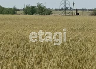 Продам земельный участок, 460 сот., село Шелковичное