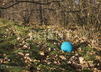 Участок на продажу, 32 сот., деревня Крёкшино