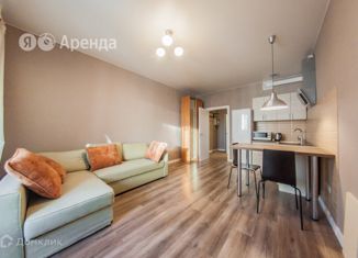 Аренда квартиры студии, 25 м2, деревня Кудрово, Европейский проспект, 21к1