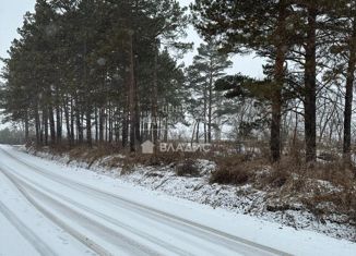 Продается земельный участок, 10 сот., Арсеньев, Приморская улица, 14