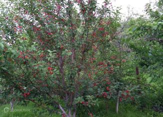 Продам участок, 5.5 сот., село Ташевка, Зелёная улица