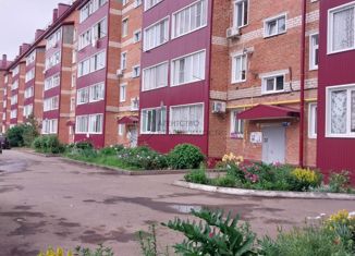 Продаю двухкомнатную квартиру, 47.2 м2, Татарстан, улица Мира, 32