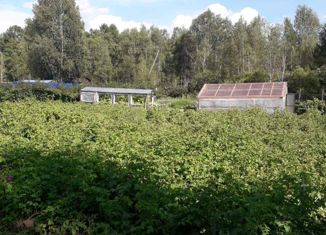 Дом на продажу, 50 м2, село Карповка