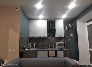 Продам квартиру студию, 23.9 м2, деревня Царёво, улица Петра Гаврилова, 24