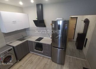Продается квартира студия, 25.1 м2, Новосибирск, улица Ошанина, 1, улица Ошанина