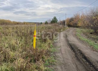 Земельный участок на продажу, 25 сот., село Курьи