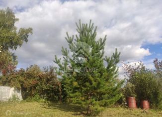 Продажа дома, 20 м2, садоводческое товарищество Медик, Центральная улица, 362