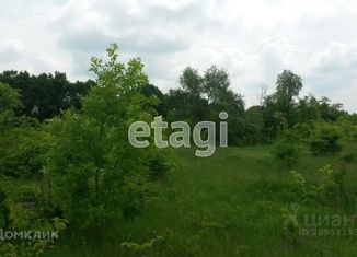 Продаю земельный участок, 15 сот., село Гостищево