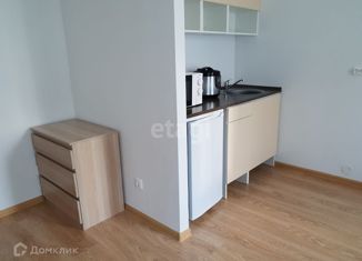 Продается квартира студия, 25 м2, посёлок Мичуринский, Широкореченская улица, 58к3