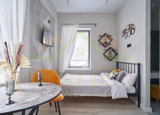 Продается квартира студия, 20.4 м2, Москва, Суворовская улица, 3/1, метро Электрозаводская