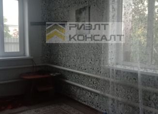 Продам дом, 64 м2, деревня Бердянка, Южная улица, 3