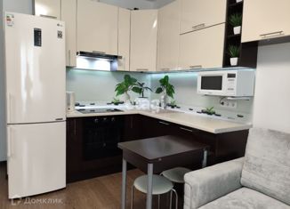 Продаю квартиру студию, 25.1 м2, деревня Кудрово, проспект Строителей, 20к1