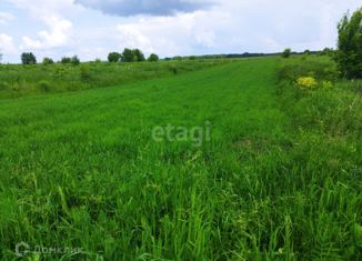 Продается земельный участок, 12 сот., Брянская область, Гористая улица