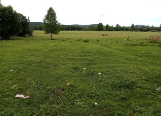 Продажа участка, 25 сот., село Озеро-Куреево