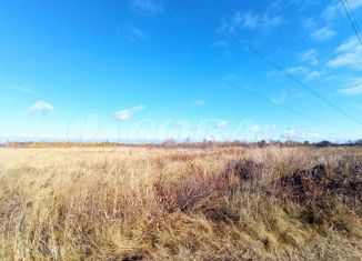 Продается земельный участок, 240 сот., городской округ Тюмень