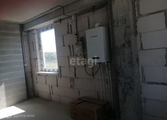 Продажа 1-ком. квартиры, 45.9 м2, село Мирное, Живописная улица, 10