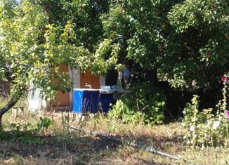 Продам дом, 46 м2, село Шопино