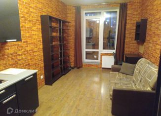 Продам квартиру студию, 19.3 м2, Санкт-Петербург, метро Комендантский проспект, Богатырский проспект, 49к1