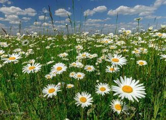 Продаю участок, 15 сот., деревня Солоново