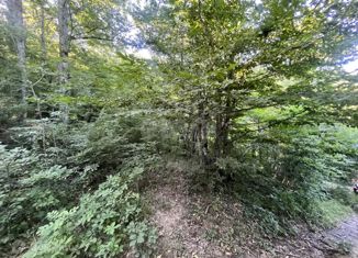 Продам земельный участок, 9.7 сот., СТ Светлая поляна