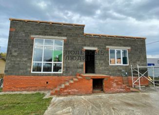 Дом на продажу, 116 м2, СНТ Мартьяновские просторы, Дынная улица, 3