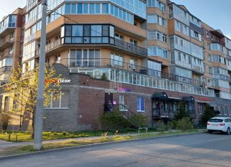 Продаю 2-ком. квартиру, 58 м2, Санкт-Петербург, 1-я Утиная улица, 28, 1-я Утиная улица