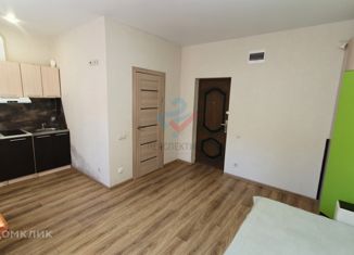 Продается 1-комнатная квартира, 23.3 м2, село Раздольное, Изобильная улица, 30В/3