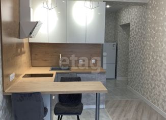 Продаю 1-ком. квартиру, 27 м2, деревня Кисловка, бульвар Николая Гумилева, 4, ЖК Рябиновый