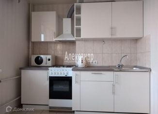 Сдается в аренду 2-комнатная квартира, 51 м2, посёлок Парголово, улица Михаила Дудина, 10, ЖК Бумеранг