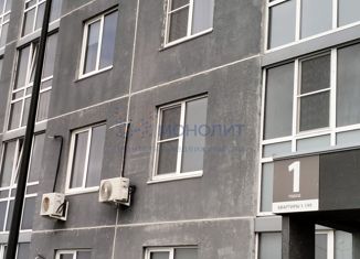 Продаю 1-комнатную квартиру, 27.8 м2, деревня Анкудиновка, Русская улица, 4