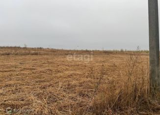 Продается участок, 39 сот., село Шопино, 14К-827, 4-й километр