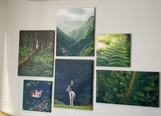 Дом на продажу, 75.9 м2, село Миасское, Звёздная улица, 3