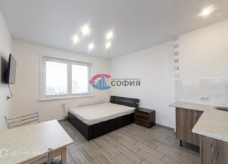 Продаю 1-ком. квартиру, 27.5 м2, Архангельск, проспект Ломоносова, 98, ЖК Рубин