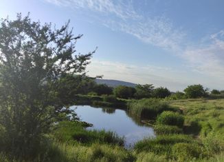 Продается участок, 5.6 сот., СНТ Сад, Лесная улица