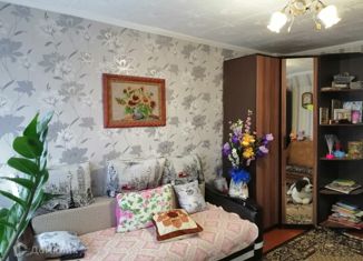 3-комнатная квартира на продажу, 54.7 м2, село Александровка, Советская улица, 34