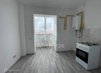 2-комнатная квартира на продажу, 55 м2, Ставропольский край, улица Пальмиро Тольятти, 36