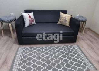 Сдача в аренду 4-ком. квартиры, 72 м2, Красноярск, Лесная улица, 81, Октябрьский район