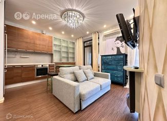 Аренда 1-комнатной квартиры, 44 м2, Санкт-Петербург, переулок Ногина, 4к2, метро Елизаровская