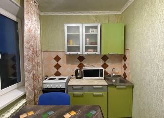 1-ком. квартира на продажу, 26.4 м2, Елизово, улица Циолковского, 29