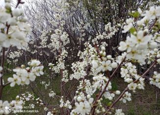 Продам участок, 4.98 сот., Октябрьский