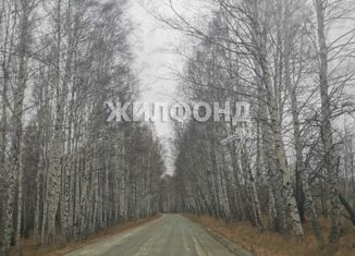 Продаю участок, 12 сот., посёлок Октябрьский, Октябрьская улица