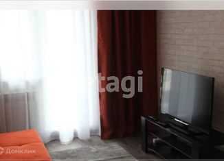 Квартира в аренду студия, 27 м2, Новосибирск, 1-я Чулымская улица, 112/2, ЖК Ясный Берег