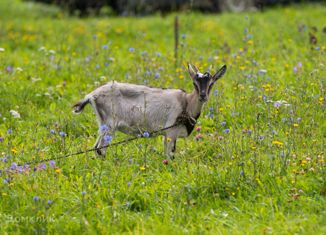 Земельный участок на продажу, 22.36 сот., село Мокрый Корь