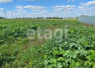 Продаю земельный участок, 12 сот., село Гремячее, улица Новики