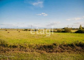 Продам участок, 610.6 сот., село Ворогушино, Центральная улица