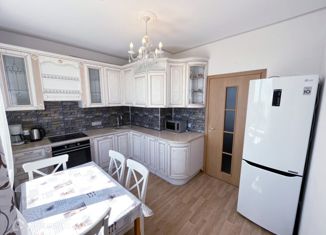 Сдаю в аренду 2-ком. квартиру, 55 м2, деревня Кудрово, Центральная улица, 54
