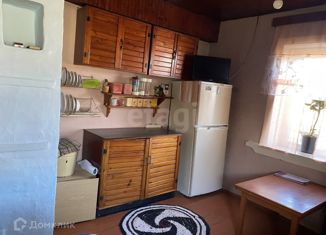 Продаю дом, 31.1 м2, деревня Большой Хутор, улица Дружбы