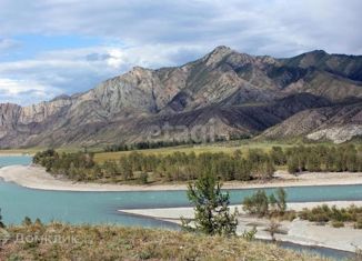 Продается участок, 300 сот., село Онгудай, улица Ленина