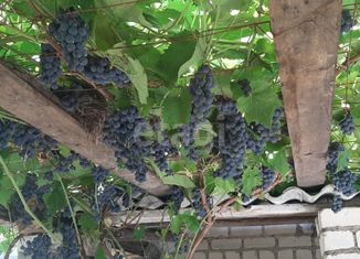 Продажа дома, 18 м2, СНТ Рассвет, Центральная улица