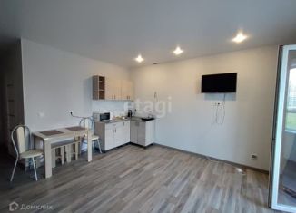 Сдается в аренду квартира студия, 30 м2, Новосибирск, улица Ясный Берег, 23, ЖК Ясный Берег